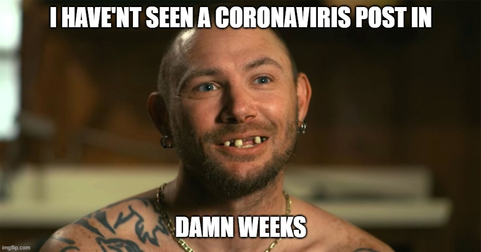 covid-19 | I HAVE'NT SEEN A CORONAVIRIS POST IN; DAMN WEEKS | image tagged in coronavirus,corona virus,democrats,protest,protesters,tiger king | made w/ Imgflip meme maker