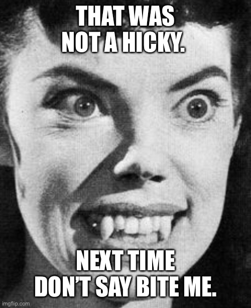Bite me | THAT WAS NOT A HICKY. NEXT TIME DON’T SAY BITE ME. | image tagged in funny memes | made w/ Imgflip meme maker