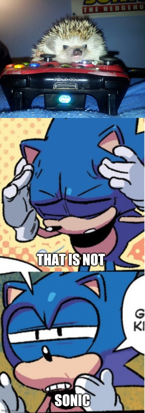 BUT IT IS A HEDGEHOG | THAT IS NOT; SONIC | image tagged in sonic boi,memes,sonic the hedgehog | made w/ Imgflip meme maker
