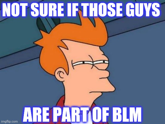 Futurama Fry Meme | NOT SURE IF THOSE GUYS ARE PART OF BLM | image tagged in memes,futurama fry | made w/ Imgflip meme maker