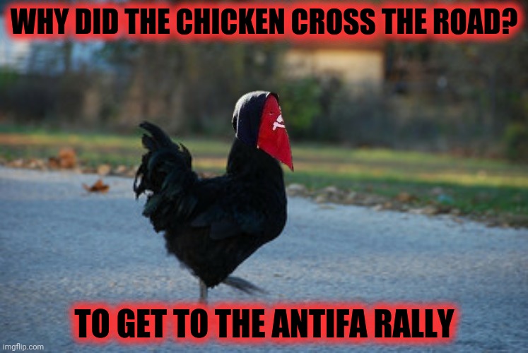 WHY DID THE CHICKEN CROSS THE ROAD? TO GET TO THE ANTIFA RALLY | made w/ Imgflip meme maker