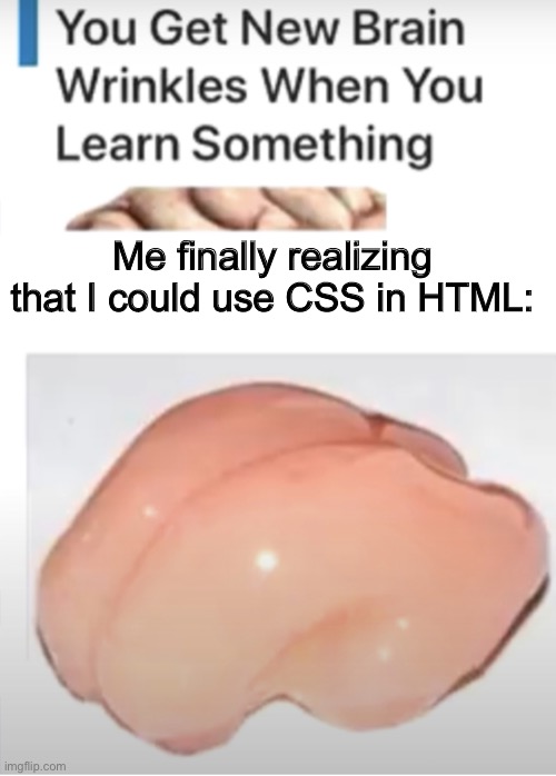 You Get New Brain Wrinkles When You Learn Something | Me finally realizing that I could use CSS in HTML: | image tagged in you get new brain wrinkles when you learn something | made w/ Imgflip meme maker