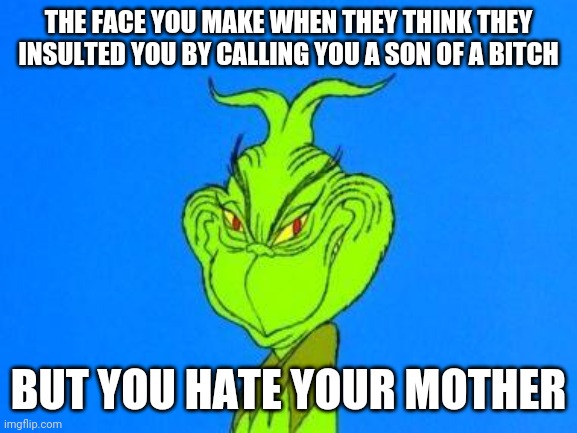 Not me. I love my mom. | THE FACE YOU MAKE WHEN THEY THINK THEY INSULTED YOU BY CALLING YOU A SON OF A BITCH; BUT YOU HATE YOUR MOTHER | image tagged in dispatcher grinch,memes,son of a bitch,insults | made w/ Imgflip meme maker