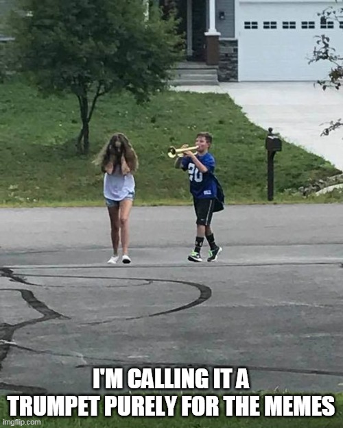 Trumpet Boy | I'M CALLING IT A TRUMPET PURELY FOR THE MEMES | image tagged in trumpet boy | made w/ Imgflip meme maker