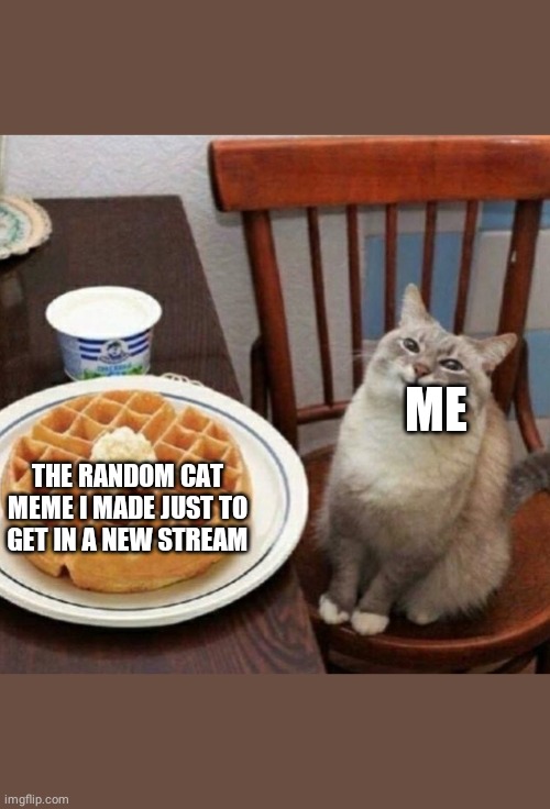 Cat likes their waffle | ME; THE RANDOM CAT MEME I MADE JUST TO GET IN A NEW STREAM | image tagged in cat likes their waffle,cat,cats | made w/ Imgflip meme maker