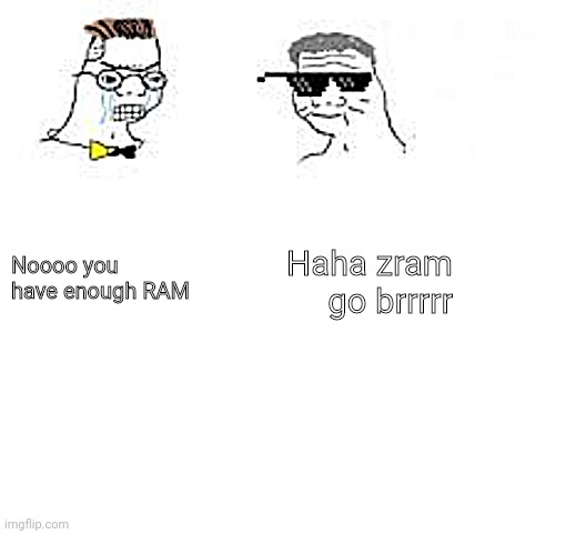 Noooooo you can't just | Haha zram go brrrrr; Noooo you have enough RAM | image tagged in noooooo you can't just | made w/ Imgflip meme maker