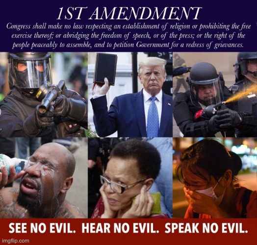 1st amendment see no evil hear no evil speak no evil | image tagged in 1st amendment see no evil hear no evil speak no evil | made w/ Imgflip meme maker