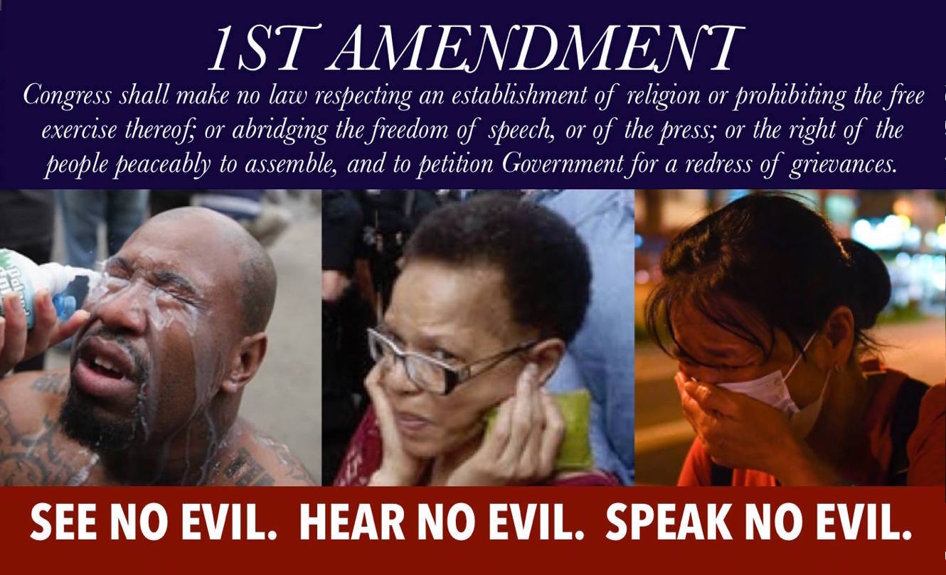 1st amendment see no evil hear no evil speak no evil Blank Meme Template