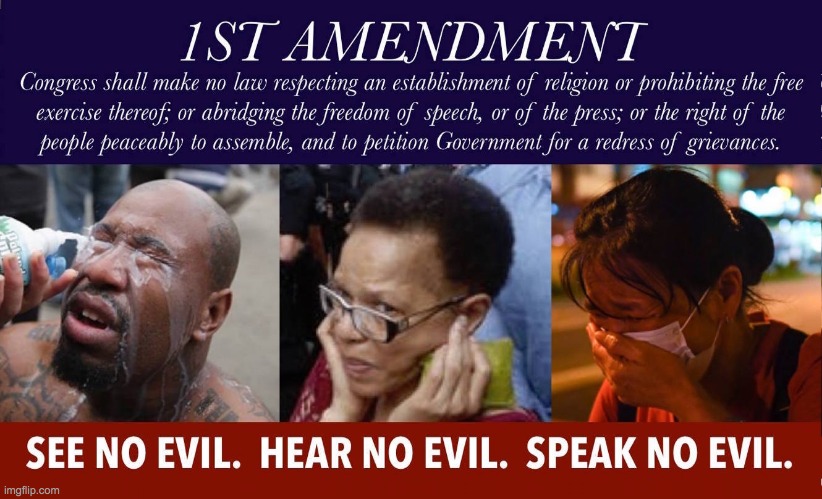 1st amendment see no evil hear no evil speak no evil | image tagged in 1st amendment see no evil hear no evil speak no evil | made w/ Imgflip meme maker