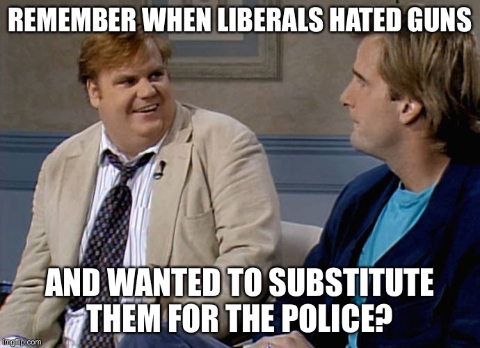 Remember when | REMEMBER WHEN LIBERALS HATED GUNS AND WANTED TO SUBSTITUTE THEM FOR THE POLICE? | image tagged in remember when | made w/ Imgflip meme maker