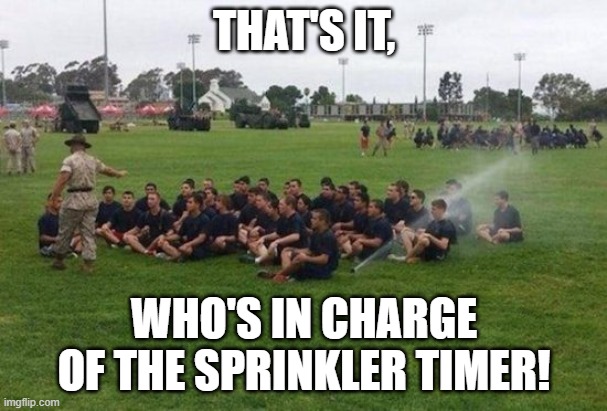 die trash! | THAT'S IT, WHO'S IN CHARGE
OF THE SPRINKLER TIMER! | image tagged in funny,water | made w/ Imgflip meme maker
