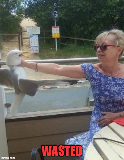 WASTED | image tagged in grandma,seagull,wasted | made w/ Imgflip meme maker