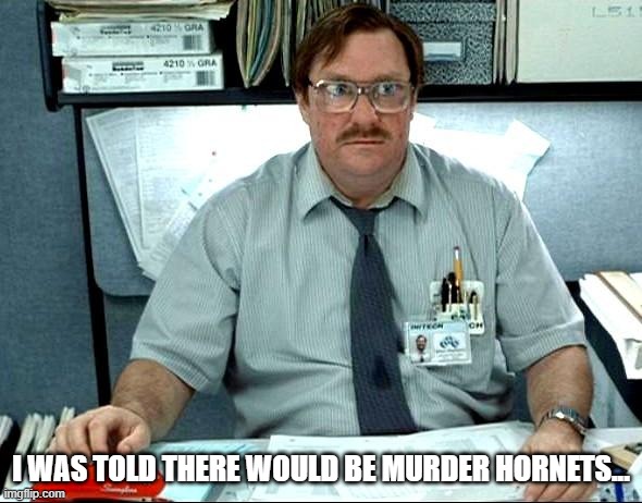 I Was Told There Would Be | I WAS TOLD THERE WOULD BE MURDER HORNETS... | image tagged in memes,i was told there would be | made w/ Imgflip meme maker