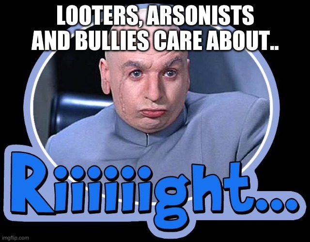 CurrentEvents | LOOTERS, ARSONISTS AND BULLIES CARE ABOUT.. | image tagged in history,politics,riots | made w/ Imgflip meme maker