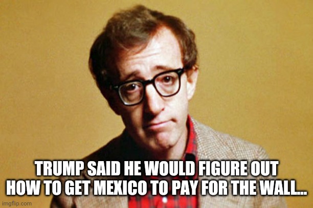 Woody Allen | TRUMP SAID HE WOULD FIGURE OUT HOW TO GET MEXICO TO PAY FOR THE WALL... | image tagged in woody allen | made w/ Imgflip meme maker