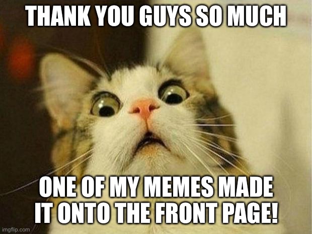 Scared Cat | THANK YOU GUYS SO MUCH; ONE OF MY MEMES MADE IT ONTO THE FRONT PAGE! | image tagged in memes,scared cat | made w/ Imgflip meme maker