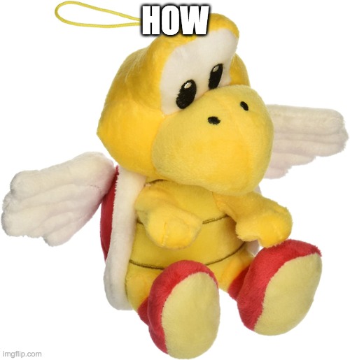 How | HOW | image tagged in koopa | made w/ Imgflip meme maker