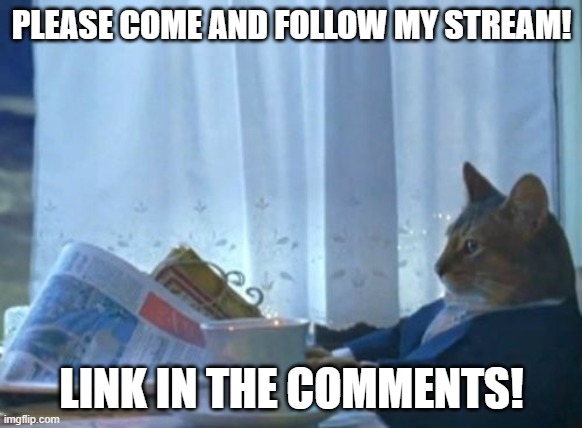 NEW STREAM! | PLEASE COME AND FOLLOW MY STREAM! LINK IN THE COMMENTS! | image tagged in memes,i should buy a boat cat | made w/ Imgflip meme maker