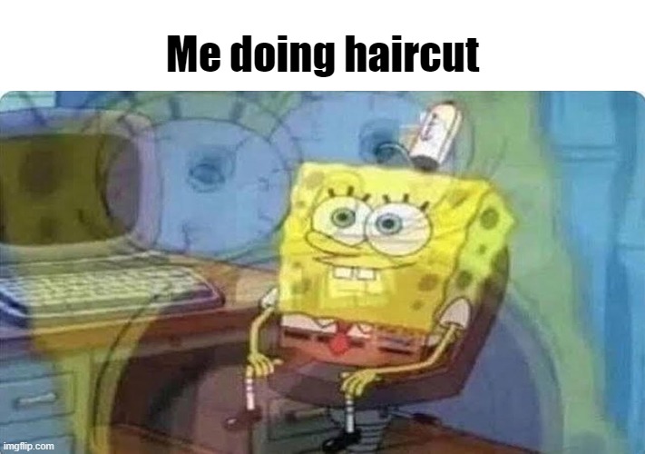 Me doing haircut | Me doing haircut | image tagged in memes,fun,dank memes,funny memes,funny | made w/ Imgflip meme maker