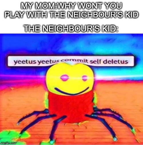 This image is rare | MY MOM:WHY WONT YOU PLAY WITH THE NEIGHBOUR'S KID; THE NEIGHBOUR'S KID: | image tagged in funny | made w/ Imgflip meme maker