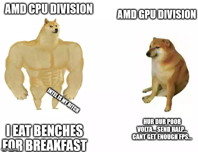 Buff Doge vs. Cheems Meme | AMD GPU DIVISION; AMD CPU DIVISION; INTEL IS MY BITCH; HUR DUR POOR VOLTA... SEND HALP... CANT GET ENOUGH FPS... I EAT BENCHES FOR BREAKFAST | image tagged in buff doge vs cheems | made w/ Imgflip meme maker