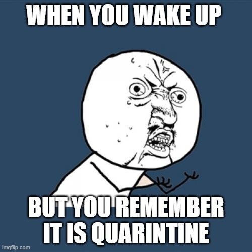 Y U No | WHEN YOU WAKE UP; BUT YOU REMEMBER IT IS QUARINTINE | image tagged in memes,y u no | made w/ Imgflip meme maker