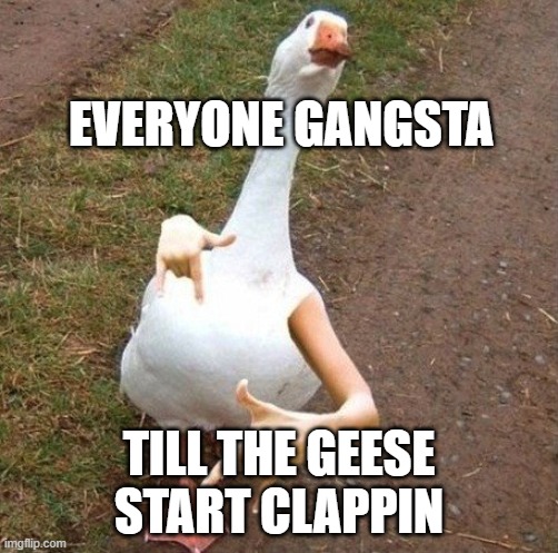 true | EVERYONE GANGSTA; TILL THE GEESE START CLAPPIN | image tagged in funny memes | made w/ Imgflip meme maker