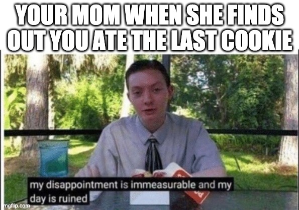 My dissapointment is immeasurable and my day is ruined | YOUR MOM WHEN SHE FINDS
OUT YOU ATE THE LAST COOKIE | image tagged in my dissapointment is immeasurable and my day is ruined | made w/ Imgflip meme maker