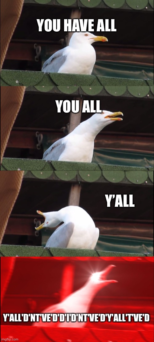 Inhaling Seagull | YOU HAVE ALL; YOU ALL; Y’ALL; Y'ALL'D'NT'VE'D'D'I'D'NT'VE'D'Y'ALL'T'VE'D | image tagged in memes,inhaling seagull | made w/ Imgflip meme maker