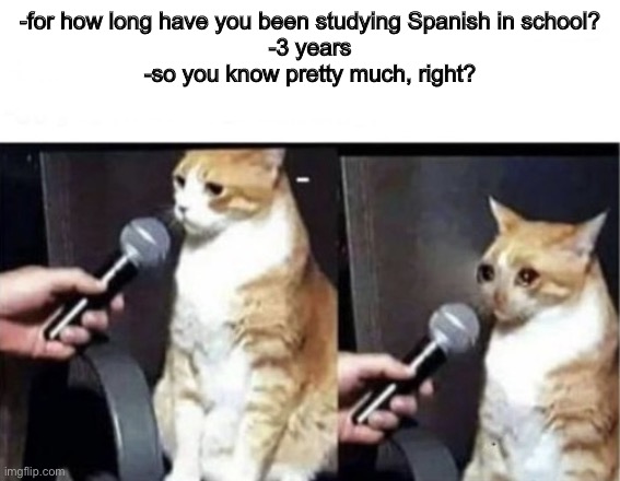 Crying Cat Interview Horizontal | -for how long have you been studying Spanish in school?
-3 years
-so you know pretty much, right? | image tagged in crying cat interview horizontal | made w/ Imgflip meme maker