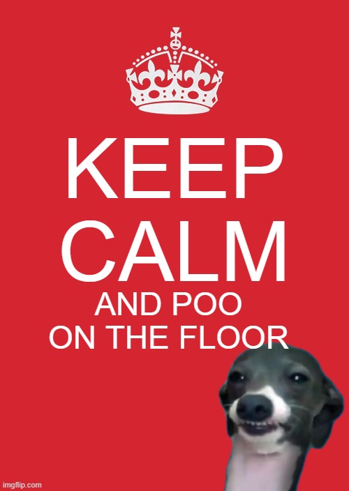 Keep Calm And Carry On Red Meme | KEEP CALM; AND POO ON THE FLOOR | image tagged in memes,keep calm and carry on red | made w/ Imgflip meme maker