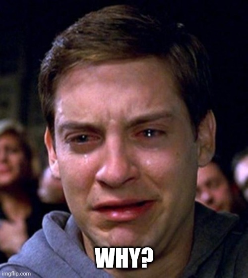 crying peter parker | WHY? | image tagged in crying peter parker | made w/ Imgflip meme maker