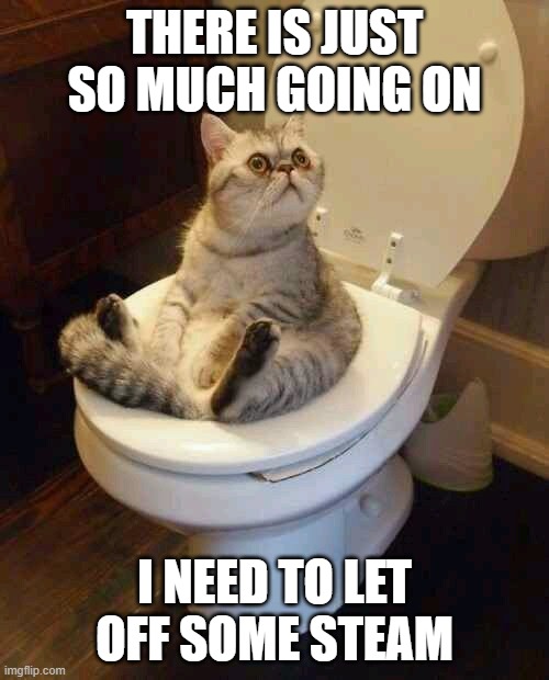 Toilet cat | THERE IS JUST SO MUCH GOING ON; I NEED TO LET OFF SOME STEAM | image tagged in toilet cat | made w/ Imgflip meme maker