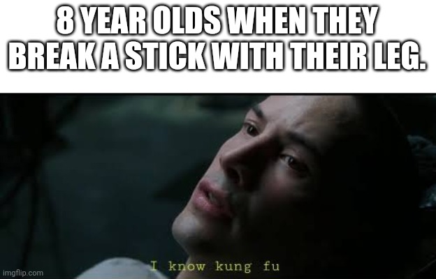 8 YEAR OLDS WHEN THEY BREAK A STICK WITH THEIR LEG. | image tagged in i know kung fu | made w/ Imgflip meme maker