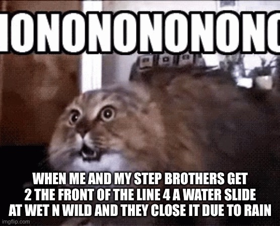 WHEN ME AND MY STEP BROTHERS GET 2 THE FRONT OF THE LINE 4 A WATER SLIDE AT WET N WILD AND THEY CLOSE IT DUE TO RAIN | image tagged in no no cat,memes,funny | made w/ Imgflip meme maker