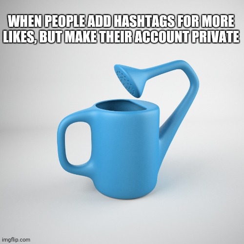Why, why, why? | WHEN PEOPLE ADD HASHTAGS FOR MORE LIKES, BUT MAKE THEIR ACCOUNT PRIVATE | image tagged in useless | made w/ Imgflip meme maker