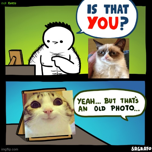 Is that you? | image tagged in is that you | made w/ Imgflip meme maker