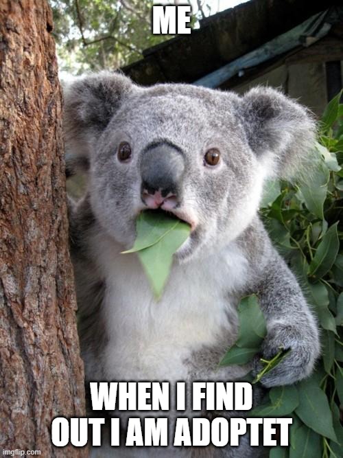 koala | ME; WHEN I FIND OUT I AM ADOPTET | image tagged in memes,surprised koala | made w/ Imgflip meme maker