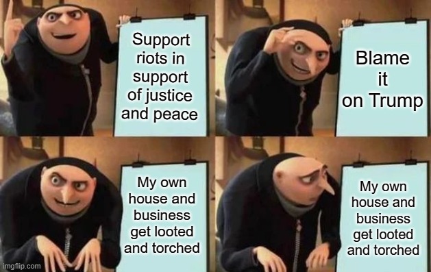 Gru's Plan Meme | Support riots in support of justice and peace Blame it on Trump My own house and business get looted and torched My own house and business g | image tagged in gru's plan | made w/ Imgflip meme maker