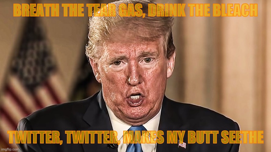 BREATH THE TEAR GAS, DRINK THE BLEACH TWITTER, TWITTER, MAKES MY BUTT SEETHE | made w/ Imgflip meme maker