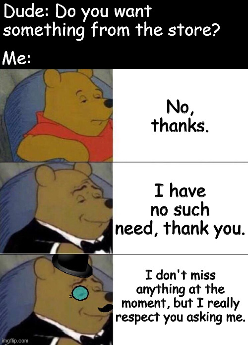 Three faces of refusal | Dude: Do you want something from the store? Me:; No, thanks. I have no such need, thank you. I don't miss anything at the moment, but I really respect you asking me. | image tagged in winnie the pooh meme,memes,funny,pawello18 | made w/ Imgflip meme maker