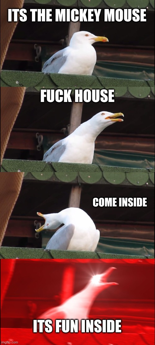 A whole new defenition to *its fun inside* | ITS THE MICKEY MOUSE; FUCK HOUSE; COME INSIDE; ITS FUN INSIDE | image tagged in memes,inhaling seagull | made w/ Imgflip meme maker