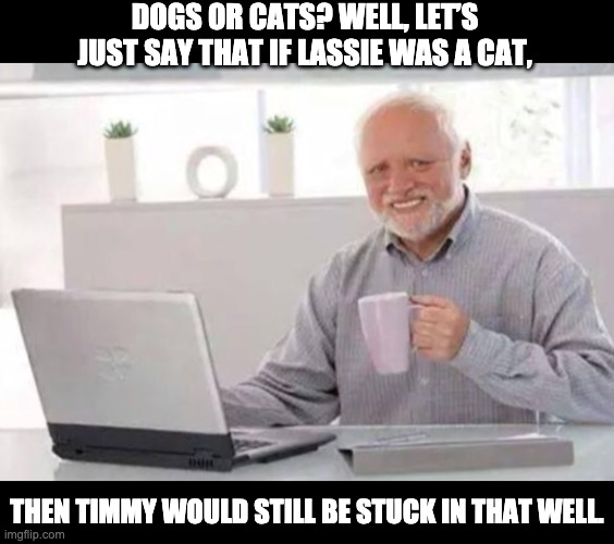 cats vs dogs | DOGS OR CATS? WELL, LET’S JUST SAY THAT IF LASSIE WAS A CAT, THEN TIMMY WOULD STILL BE STUCK IN THAT WELL. | image tagged in harold | made w/ Imgflip meme maker