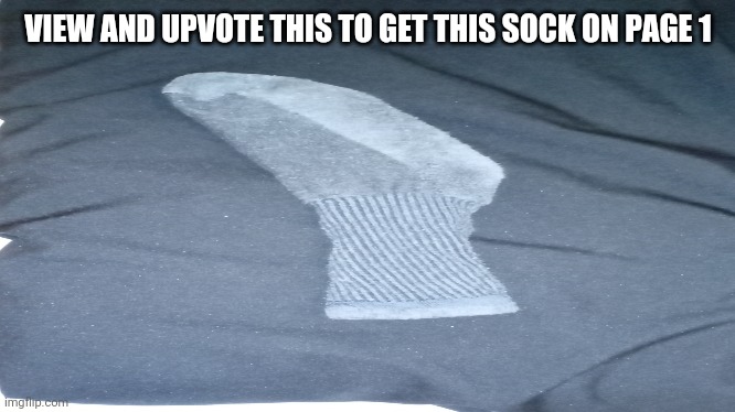 Sock | VIEW AND UPVOTE THIS TO GET THIS SOCK ON PAGE 1 | image tagged in sock | made w/ Imgflip meme maker