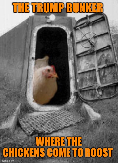 THE TRUMP BUNKER WHERE THE CHICKENS COME TO ROOST | made w/ Imgflip meme maker