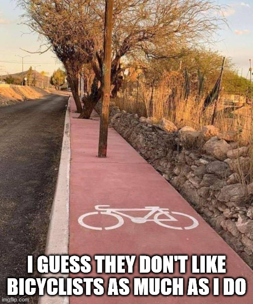 Bicycle lane is a real obstacle course. | I GUESS THEY DON'T LIKE BICYCLISTS AS MUCH AS I DO | image tagged in bicycle,obstruction | made w/ Imgflip meme maker