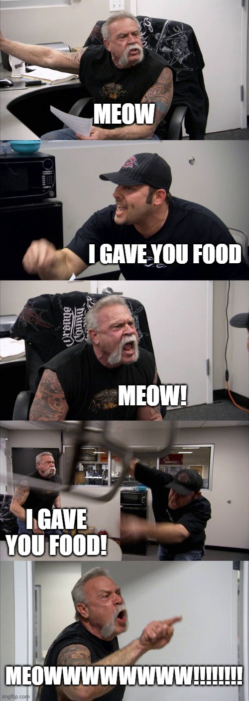 American Chopper Argument | MEOW; I GAVE YOU FOOD; MEOW! I GAVE YOU FOOD! MEOWWWWWWWW!!!!!!!! | image tagged in memes,american chopper argument | made w/ Imgflip meme maker
