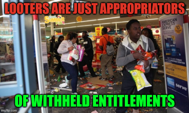 looters | LOOTERS ARE JUST APPROPRIATORS; OF WITHHELD ENTITLEMENTS | image tagged in looters | made w/ Imgflip meme maker