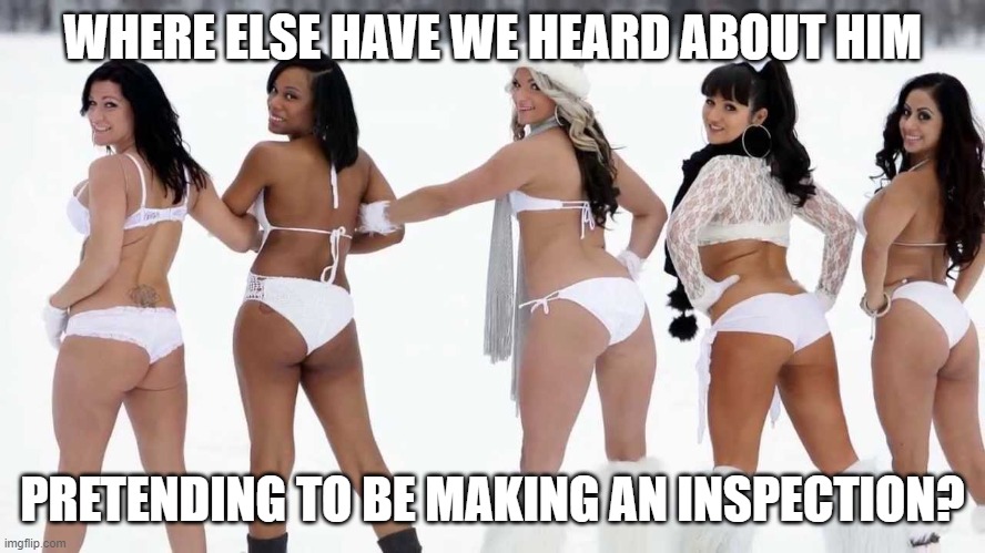 Canadian beauty pageant | WHERE ELSE HAVE WE HEARD ABOUT HIM PRETENDING TO BE MAKING AN INSPECTION? | image tagged in canadian beauty pageant | made w/ Imgflip meme maker