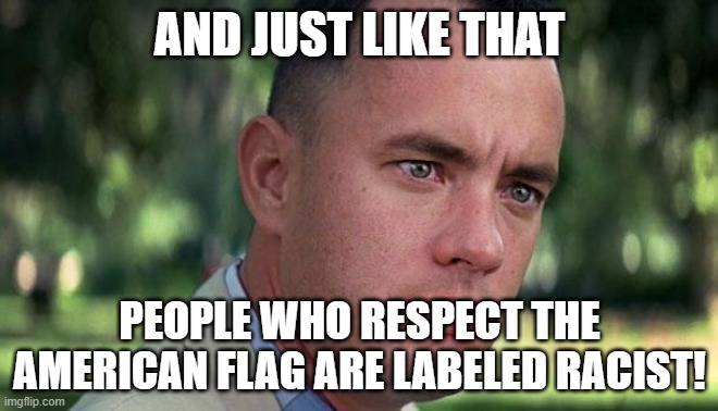 America! Love it or leave it! | AND JUST LIKE THAT; PEOPLE WHO RESPECT THE AMERICAN FLAG ARE LABELED RACIST! | image tagged in forest gump,bye,god bless america,usa | made w/ Imgflip meme maker